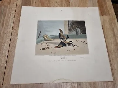 'Death' Antique Hand Painted Victorian Cockfighting Print By N. Fielding • £16.99