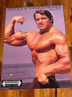 Mr Olympia ARNOLD SCHWARZENEGGER & LAURIE DONNELLY Muscle Bodybuilding Poster • £5.21