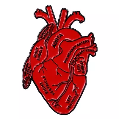 Dissected Anatomical Heart Art Enamel Pin Anatomy Model Medical Science Badge... • $19.11