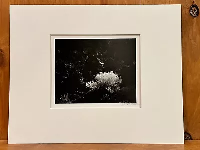 Morley Baer Photograph Signed  Sunset Crater  1973 Original • $850