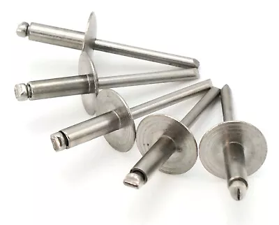 Stainless Steel Pop Rivets 3/16 Diameter (#6) Oversize Large Flange Blind Rivets • $50.80