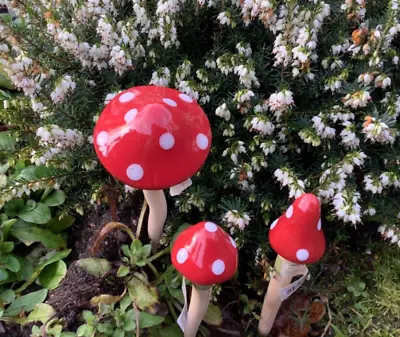 Set Of 3 Garden Toadstools Ceramic Mushrooms Fairy Decoration 2 Sizes • £11.25