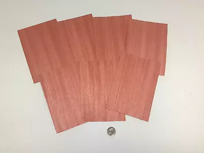 1 Lot Of 7pcs Dyed Pink Raw Veneer Shorts Lot #753 • $15.49