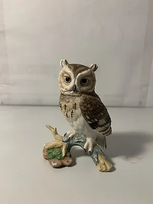 1988 Maruri Eyes Of The Night Screech Owl Porcelain Figurine • $21