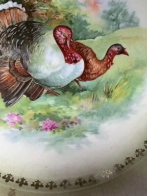 SIX Antique MINTONS Wildlife Birds - Turkeys Hand Painted 8.5” Porcelain Plates • $197.50