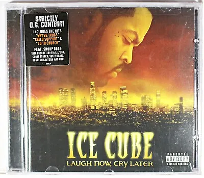 Laugh Now Cry Later - Ice Cube Sent Tracked • $21.53