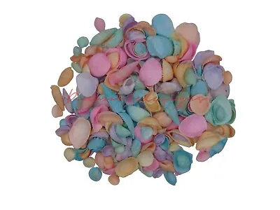 Natural Shells - Seashells Beach Shells Wedding Display Craft Aquarium Sea Decor • £24.15