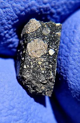 Meteorite**NWA 16349 Lunar Mare Basalt/Gabbro Breccia**0.877 Grams APOLLO 14! • $1139.99