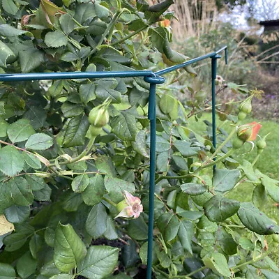 10 X Garden Linked Metal Herbaceous Plant Support (70 X 30cm)  • £23.99