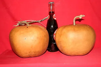 $45 • Buy Gourds 10  Apple  Gourds ( Dried And Cleaned) 
