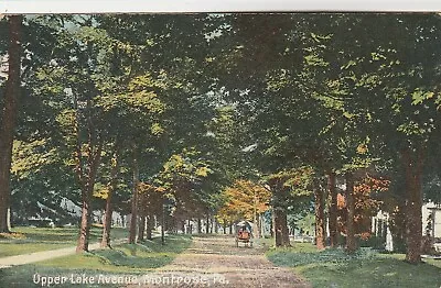 Montrose Pa~upper Lake Ave~early Postcard • $4