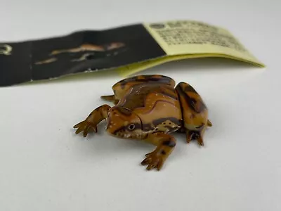 Kaiyodo Choco Q Ornate Narrow-mouthed Frog Animal Realistic Figure Miniature • $6.90