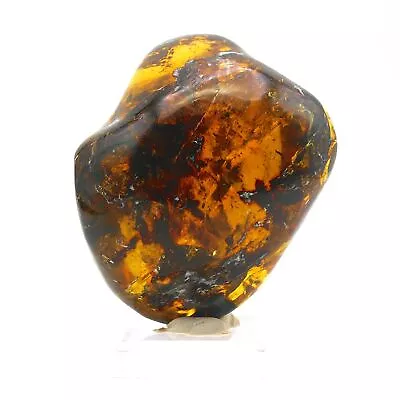 Fully Polished Mexican Amber 107 G • $213