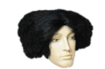 Mad Scientist Wig • $43.51