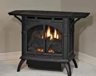 Empire WMH Porcelain Black Spirit Vent Free Cast Iron Stove NG VFD20CC30BN • $2555