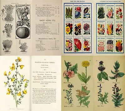 Herbs Botany Botanica Plants Herbal Remedy Medicine Vol.1 - 102 Old Books On DVD • $12.99