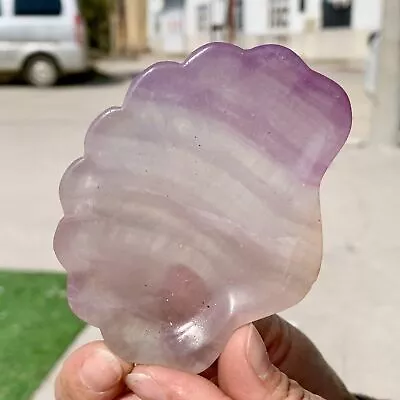 128G Natural Fluorite Quartz Carved Shell Bowl Crystal Spirit Therapy Gift • $0.99