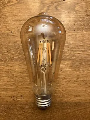 Battery Operated Low Voltage 3V Edison Bulb • $13