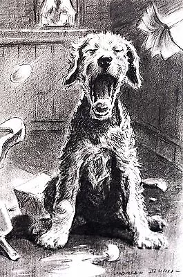 Morgan Dennis 1946 TERRIER In CHAOS Eggs Books Shoes Vintage Matted Dog Print • $25