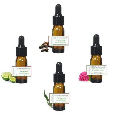 $24.95 • Buy 100% Pure Essential Oils For Olfactory Training Smell Retraining Therapy Anosmia