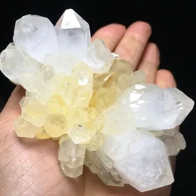 275g Museum Quality Transparent White Quartz Crystal Cluster Mineral Specimen • $32.85