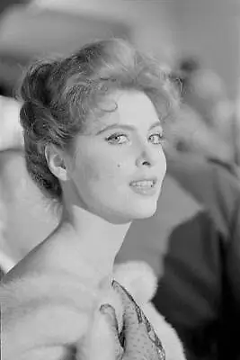 American Actress Tina Louise Taking Part Party During 19th Venice - Old Photo • $9