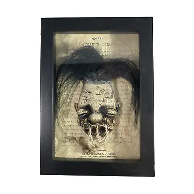 Shrunken Head In A Frame Voodoo Magic Witchcraft Oddity Gaff Mummified Mummy OS • $49