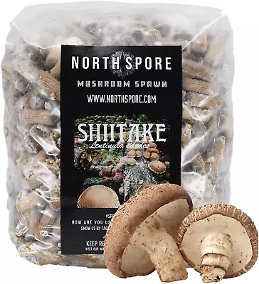 Shiitake Mushroom Plugs For Logs (500 Count) | Premium Quality Mush • $62.69