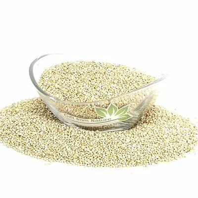 QUINOA Seeds Dried ORGANIC Bulk SpiceChenopodium Quinoa Semens • £2.99