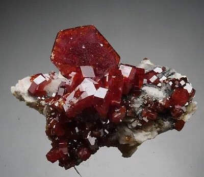 VANADINITE  -  Lustrous BLOOD-RED Crystals - MOROCCO /bn628 • $29.90