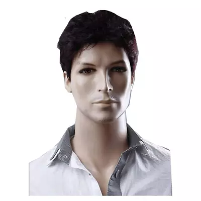 Businessmen Wigs Short Brown-Black Hair Wigs Men Natural Looking Hair Wig • $14.99