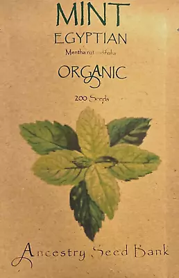 ORGANIC MINT ❁ EGYTIAN - ROUND LEAVED ❁ 200 Seeds HEIRLOOM Herb 🌱 Non GMO • £3.99