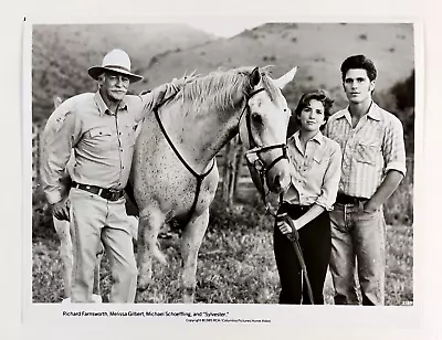 1985 Sylvester Horse Movie Melissa Gilbert Michael Schoeffling VTG Press Photo • $12.50