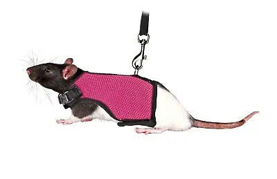 £7.09 • Buy Trixie 61511 Harness For Small Animals For Rats Nylon 9 - 12 Cm / 12 - 18 Cm ...