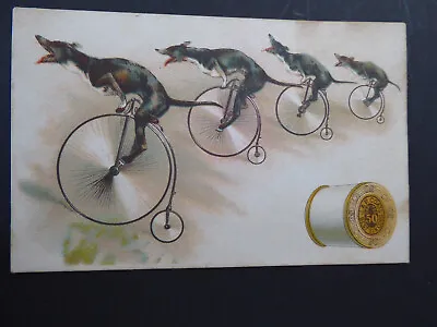 J & P Coats Cotton Anthropomorphic Dogs On Penny Farthings Bicycles Trade Card • £35