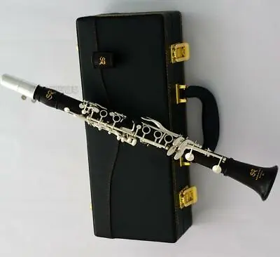 Professional Eb Clarinet Grenadilla Africa Black Wooden Silver Key New Case  • $733