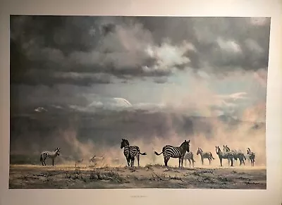 Vintage David Shepherd 1962 Print Storm Over Amboseli Zebras Retro • £295