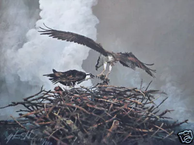 Mort Solberg Yellowstone Osprey S/N Print Eagles With Nest • $79.99