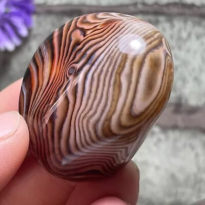 Crazy Lace SILK Banded Agate Polish Crystal Tumbled Stone Madagascar  44g M7227 • $1.25