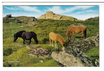 Postcard: Dartmoor Ponies Devon • £1