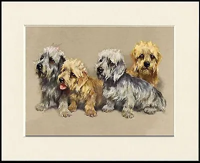 £6.99 • Buy Dandie Dinmont Terrier Group Of Dogs Lovely Dog Print Mounted Ready To Frame