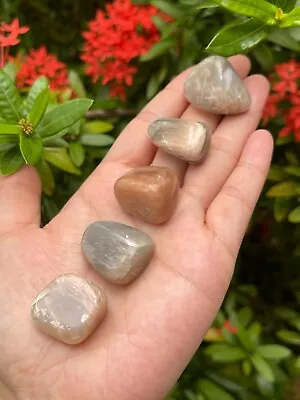 Grade A++ Moonstone Multi Tumbled Stones 0.75-1  Tumbled Multicolored Moonstone • $5.85