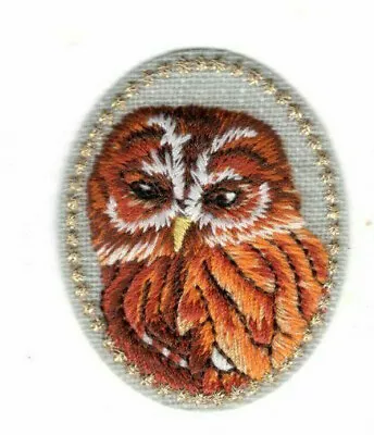$3.29 • Buy OLLIE OWL Iron On Patch Birds Nature 