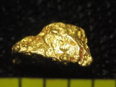 .54 GRAM California Gold Nugget-Sierra Nevada Gold Specimen Jem. Purity 90% + • $49