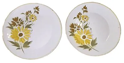 VINTAGE MIKASA Cera Stone Rare Sunland Floral Pattern Dinner Plate Set Of 2 • $35
