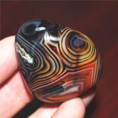 46g Natural Banded Agate Tumbled Palm Stone Crazy Lace Silk Healing Madagascar • $0.93