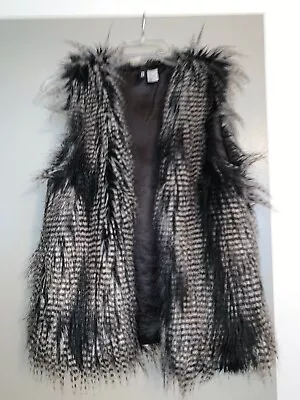 H&M Fur Vest  • $28