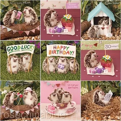 £3.25 • Buy Cute Whimiscal Whimsical Greeting Card Hedgehogs