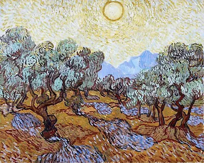 Olive Trees Painting By Vincent Van Gogh Reproduction • $59.99