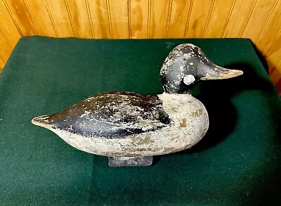 Antique Mallard Decoy Duck Estate Collection Possible Mason? 13” • $149.99